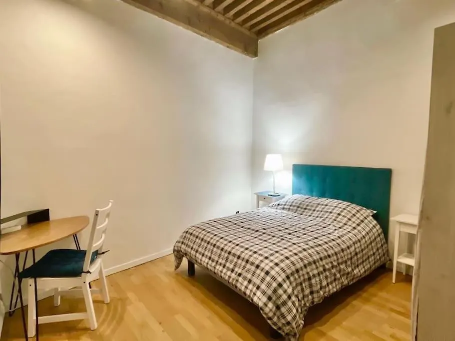 Petit Marin Hyper Centre Apartment Lyon France