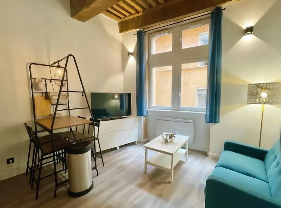 Petit Marin Hyper Centre Apartment Lyon France