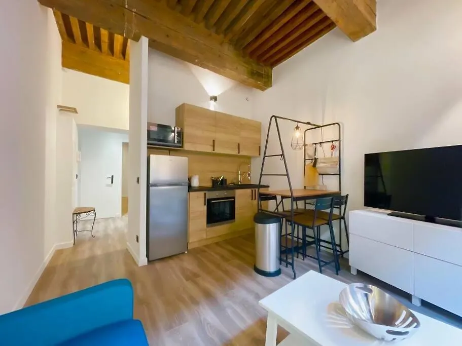 Petit Marin Hyper Centre Apartment Lyon